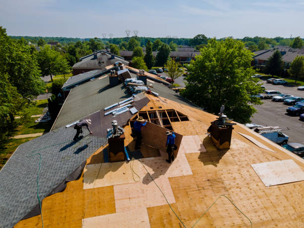 Roof Gutter Cleaning in Milton, NY